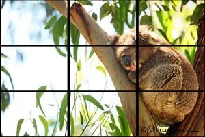 Travel photography tips - rule of thirds example