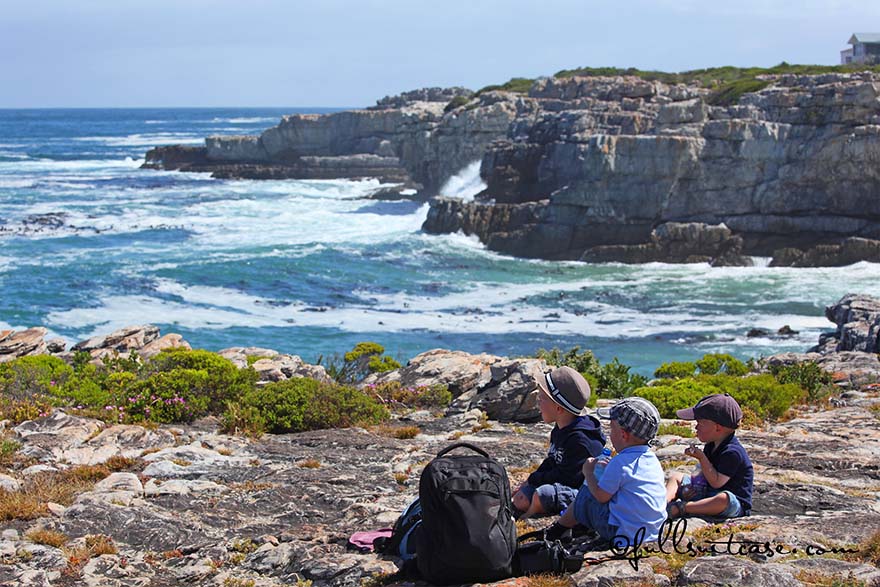 traveling with young children - picnic in South Africa
