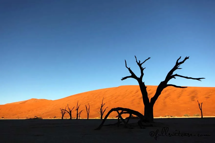 Namibia Deadvlei near Sossusvlei sand dunes and dead trees at sunrise