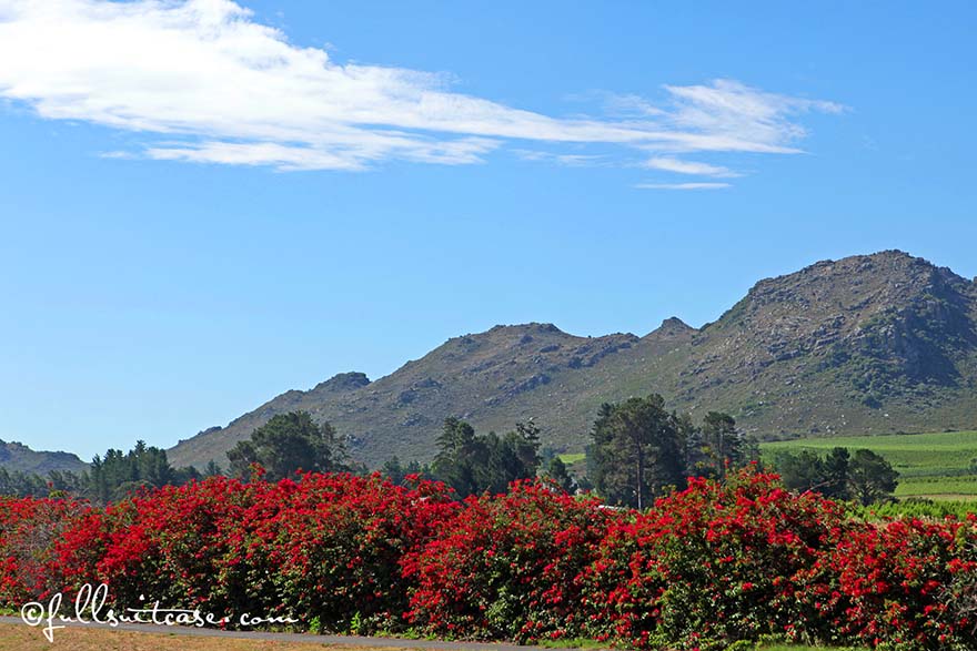 Mountain landscape at South Africa's wine region between Stellenbosch and Franschhoek