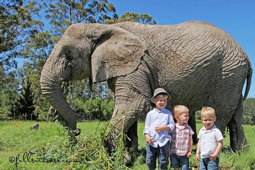 travel South Africa with young children