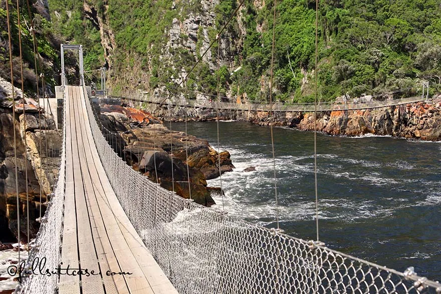 Storms River suspension bridge in Tsitsikamma National Park on the garden route