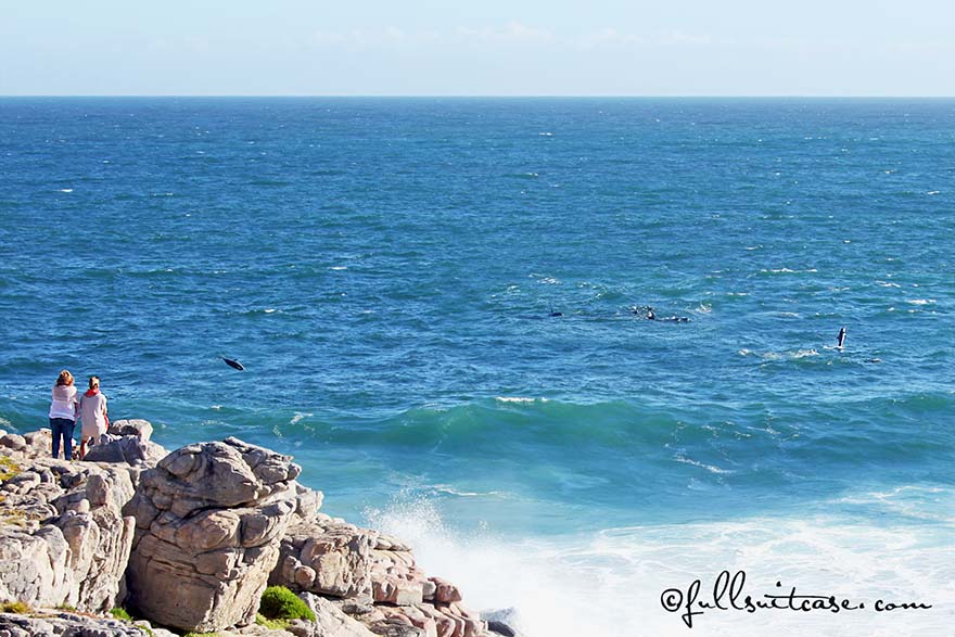 People watching dolphins on the coast of Hermanus in South Africa