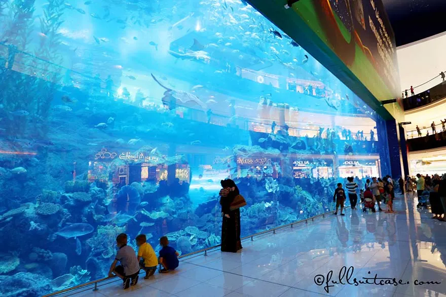 Things to Do in Dubai Airport: 7 Exciting Activities During Layovers