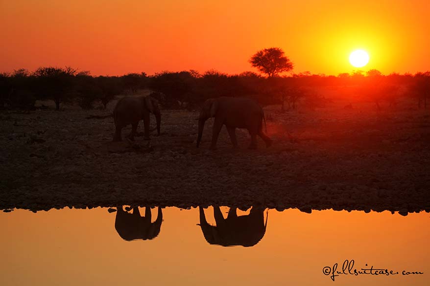 Okaukuejo Camp is the best place to stay in Etosha