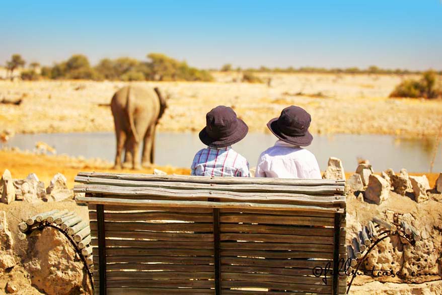 Best place to stay in Etosha Namibia is Okaukuejo Camp