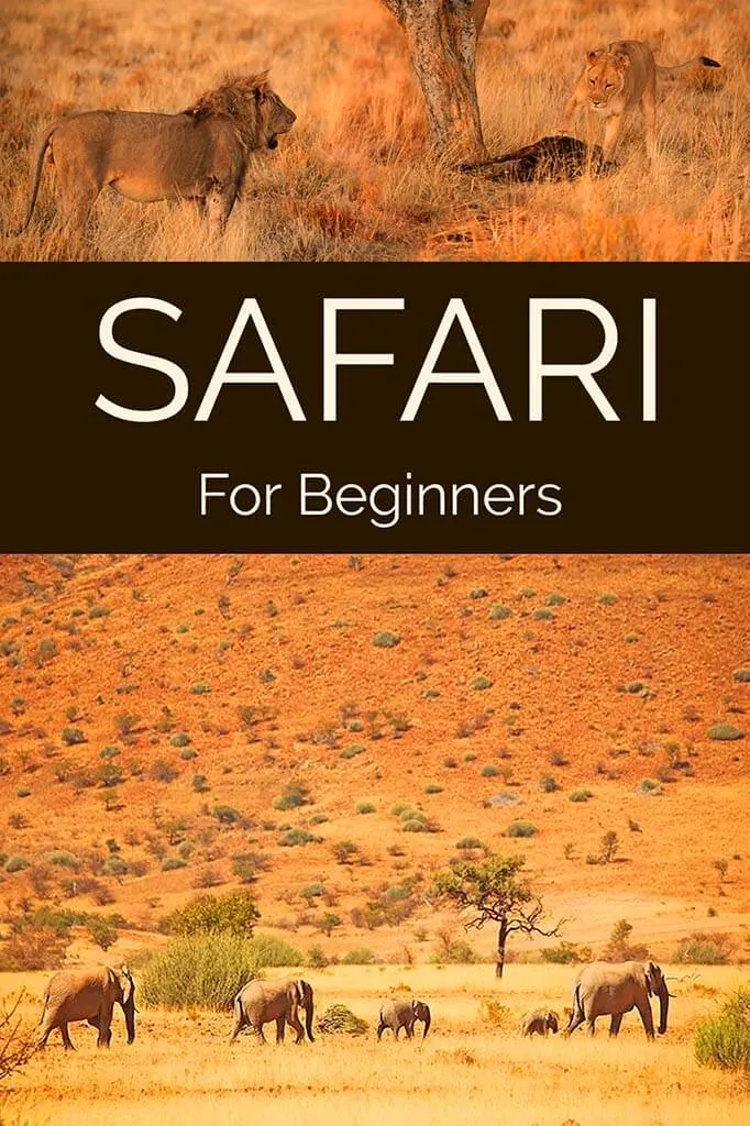 All you need to know before your first safari experience in Africa.