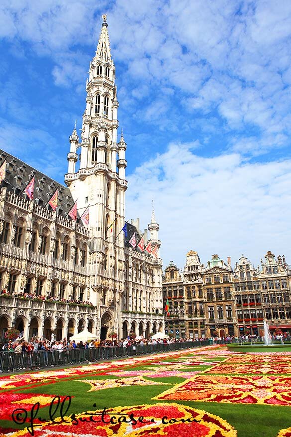 Bi-annual Brussels flower carpet