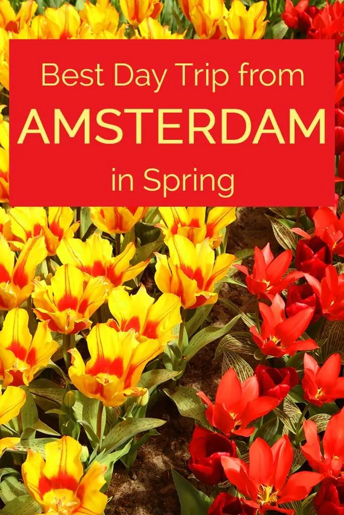 Best day trip from Amsterdam in Spring