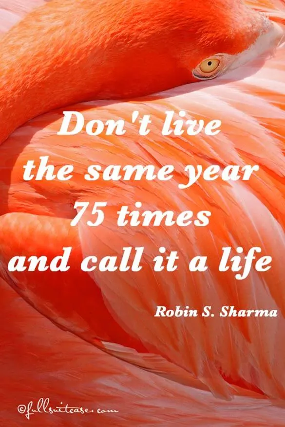 Don't live the same year 75 times and call it a life Quote