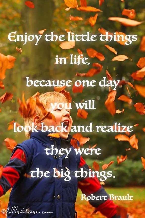 Enjoy the little things in life, because one day you will look back and realise they were the big things quote