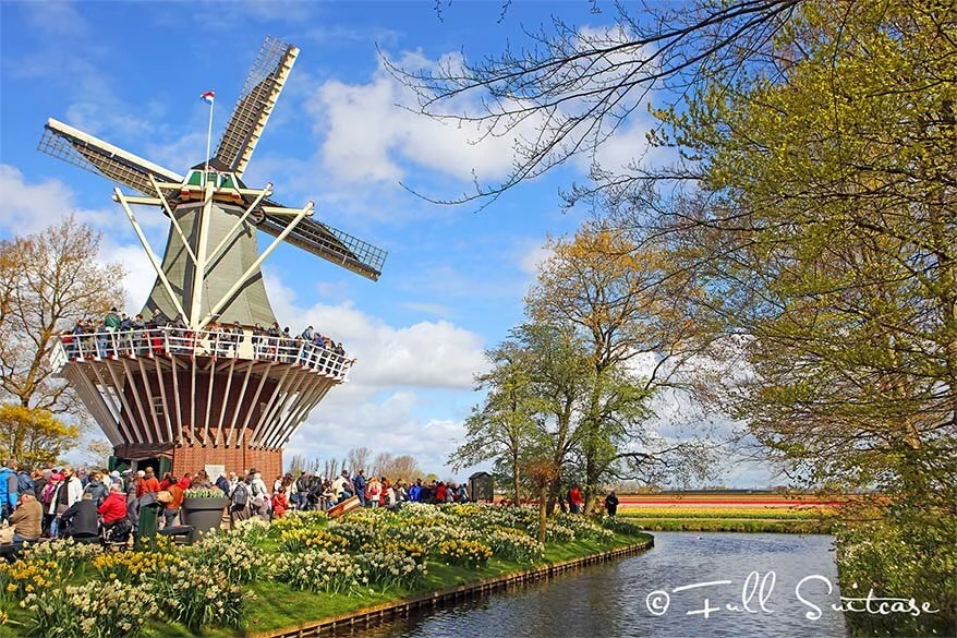 Traditional Dutch windmill overlooking the flower fields in Keukenhof