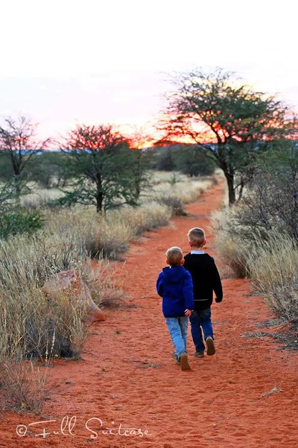 Children on a family trip to Namibia in Kalahari desert at sunset