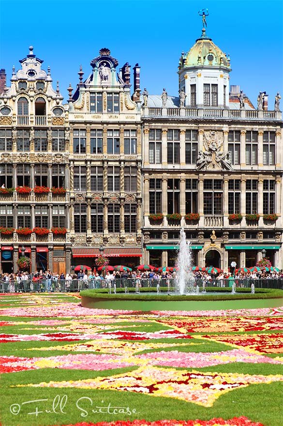 Brussels Grand Place and Flower Carpet 2010