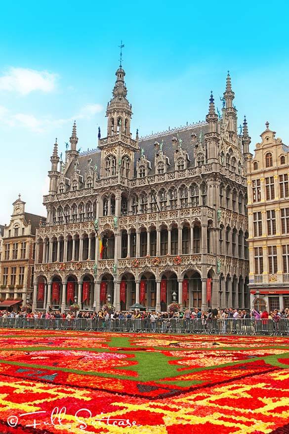 Brussels flower carpet 2014 - no two carpets are ever the same