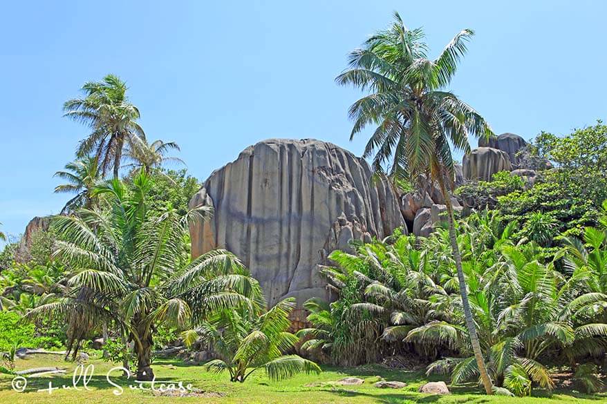 Giant palm trees and granite boulders. Grande Soeur in Seychelles