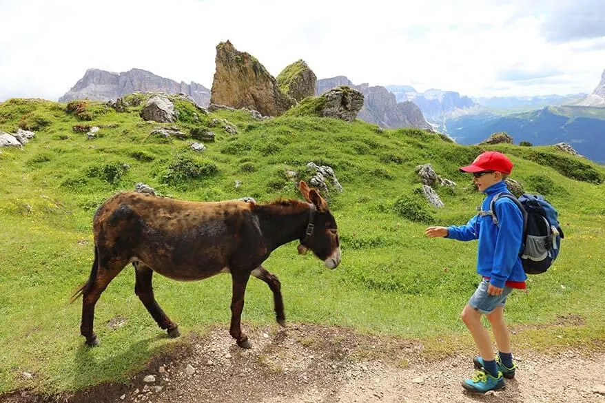 Hiking in the mountains with kids