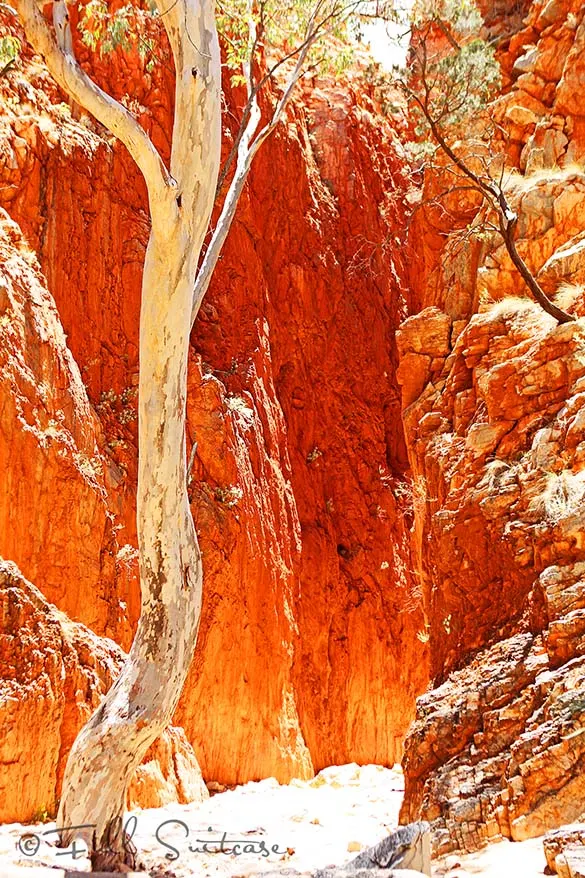 Standley Chasm West MacDonnell Ranges Australia