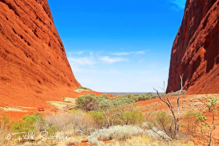 Walpa Gorge Walk in Kata Tjuta