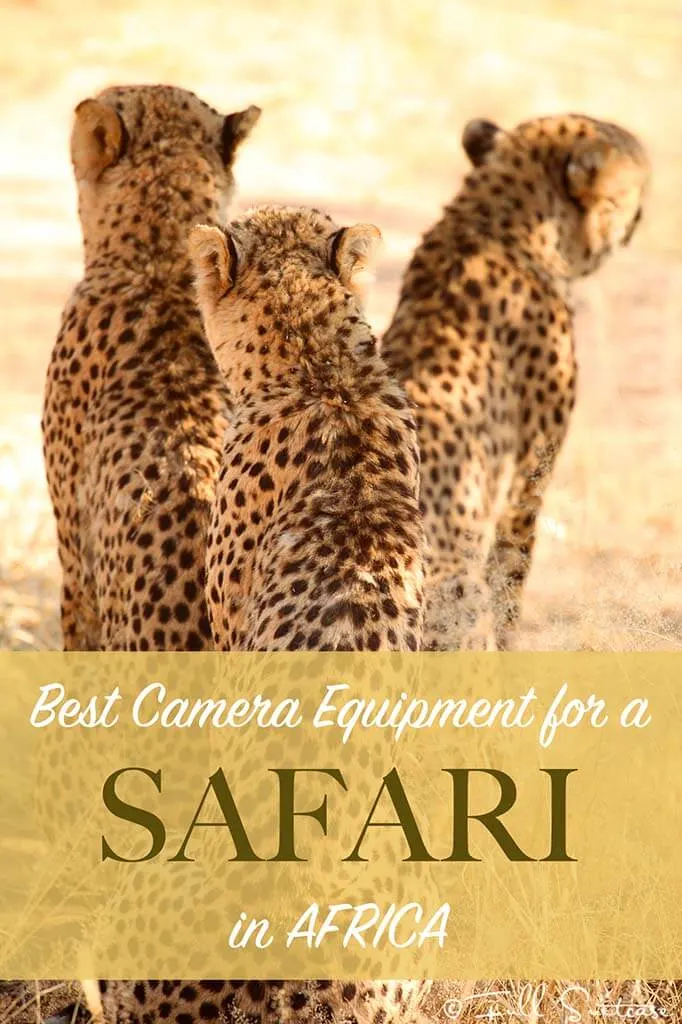 Best camera equipment for safari in Africa