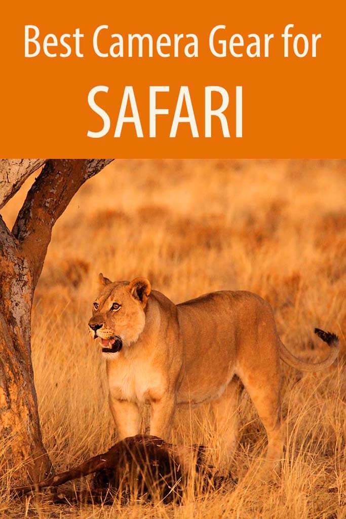 What camera to pack for safari in Africa. Complete guide to the best camera gear for wildlife photography.