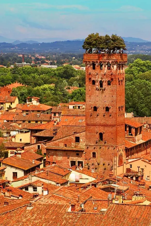 Guinigi Tower as seen from Torre Delle Ore in Lucca - Tuscany, Italy