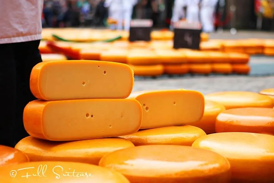 Dutch Gouda cheese at the Alkmaar cheese market