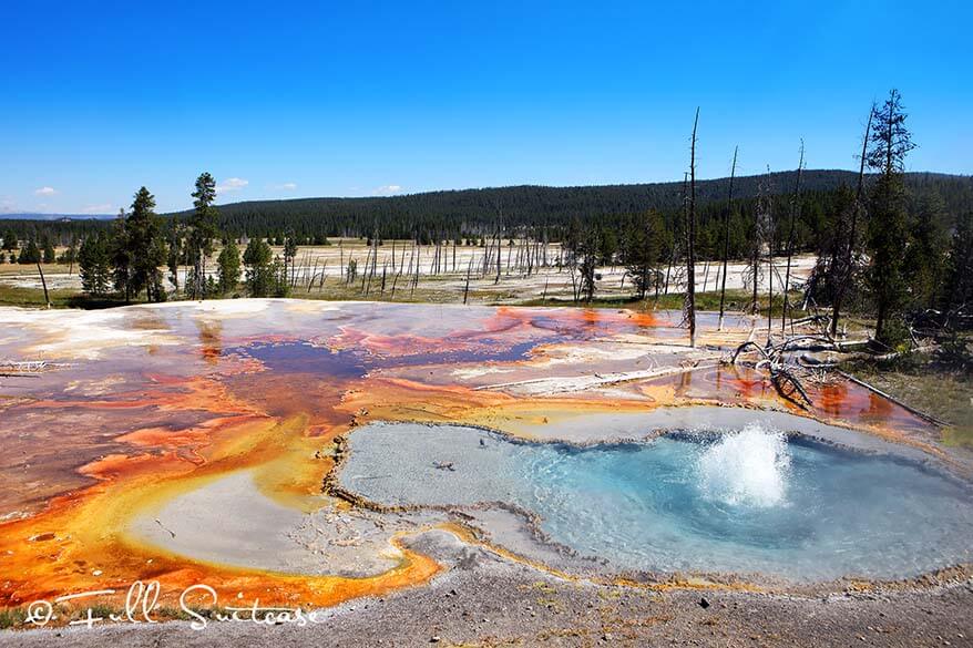 Geyser errupting at Biscuit Basin in Yellowstone NP