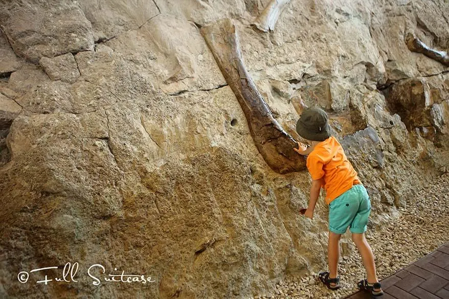 Touch a dinosaur bone at Dinosaur National Monument, Utah
