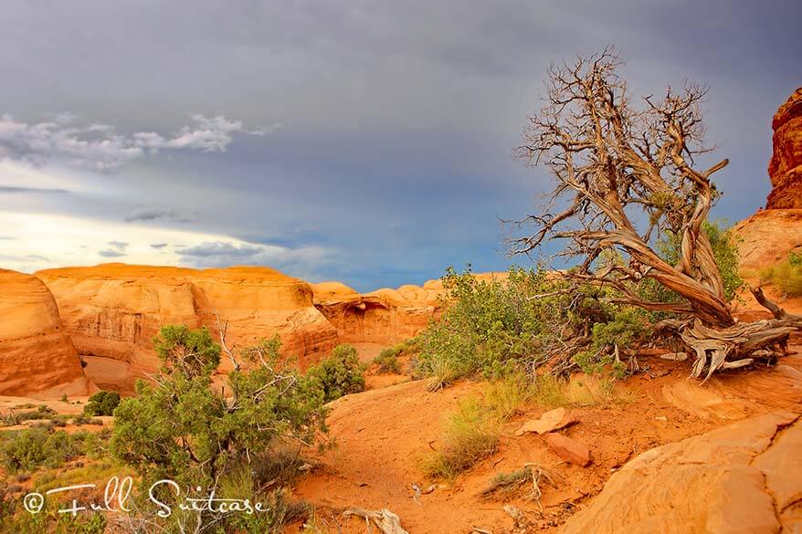 Wanderung auf dem Delicate Arch Trail