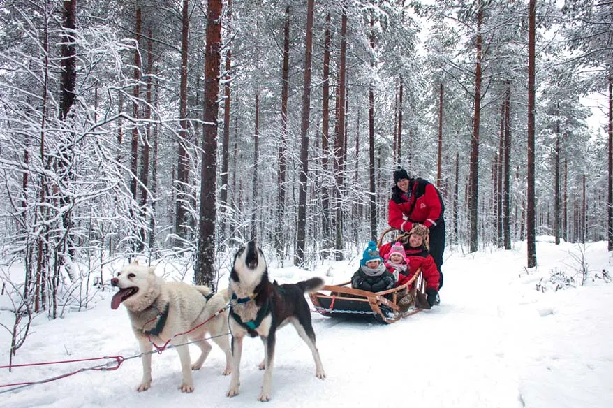 Husky Sledge in Finland