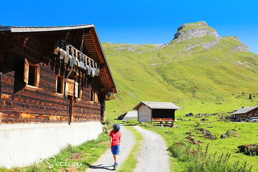 Hiking at Engstlenalp Switzerland with kids