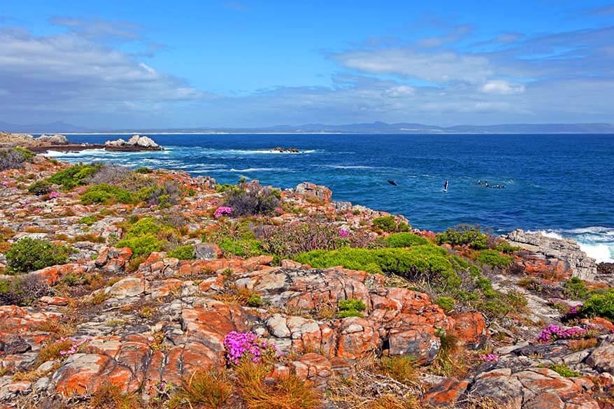 Hermanus é um dos melhores lugares para ver na África do Sul