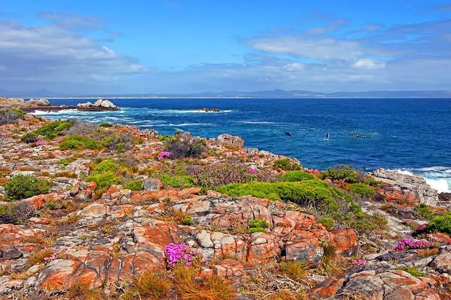 Hermanus, South Africa