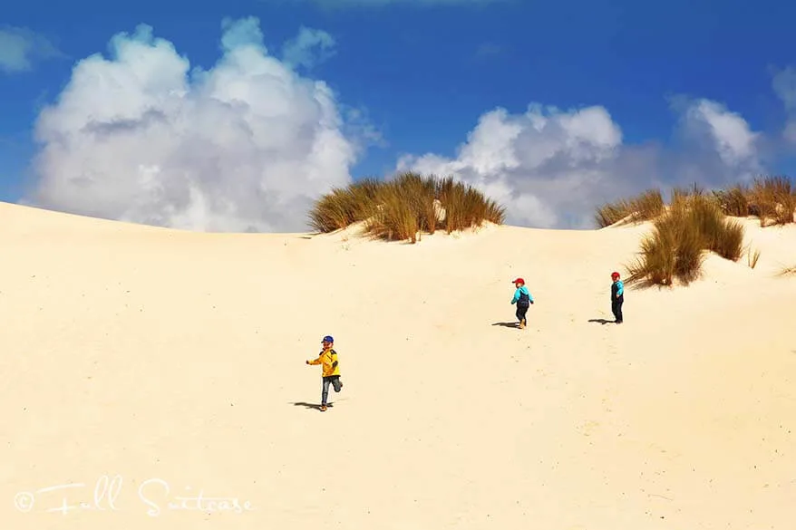 Little Sahara sand dunes - exploring Kangaroo Island with kids