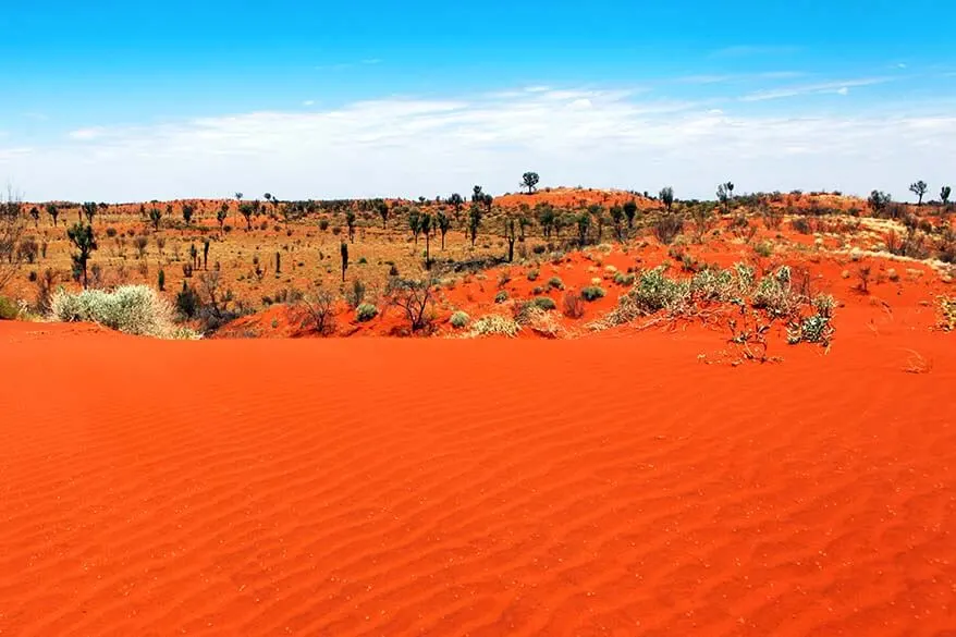 Australian outback landscape