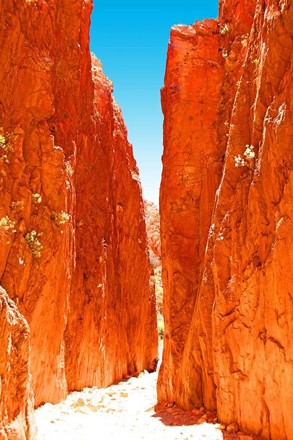 Standley Chasm West MacDonnell ranges Australia