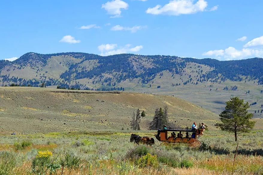 Horse and wagon carriage ride in Yellowstone National Park