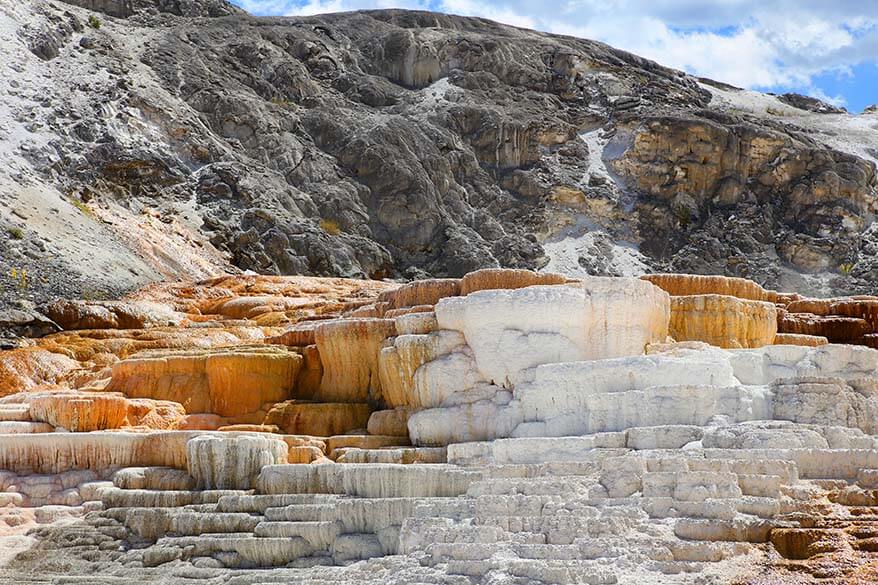 Minerva Terrace at Mammoth Hot Springs in Yellowstone