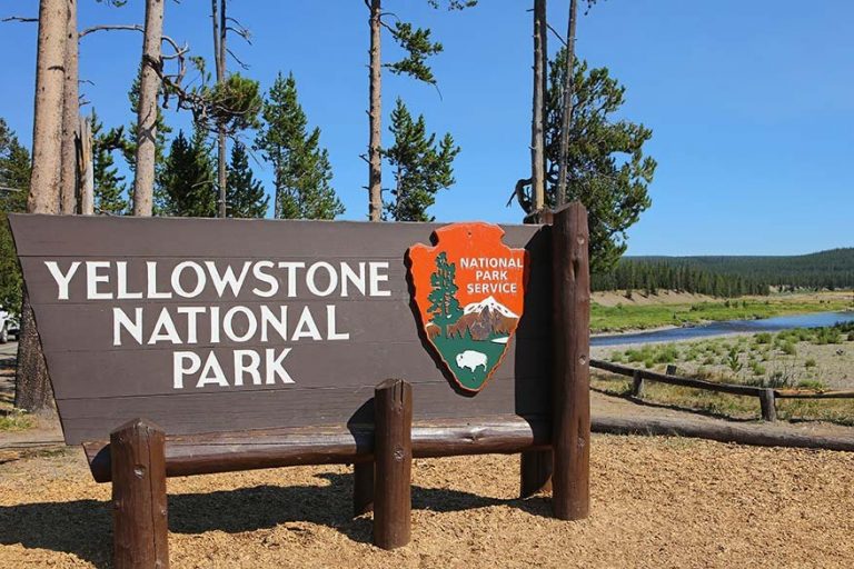 Best Things to Do in Yellowstone with Kids (+ Family Tips & Info)