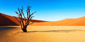 13 Fascinating Places to Visit in Namibia (Best Things to Do!)