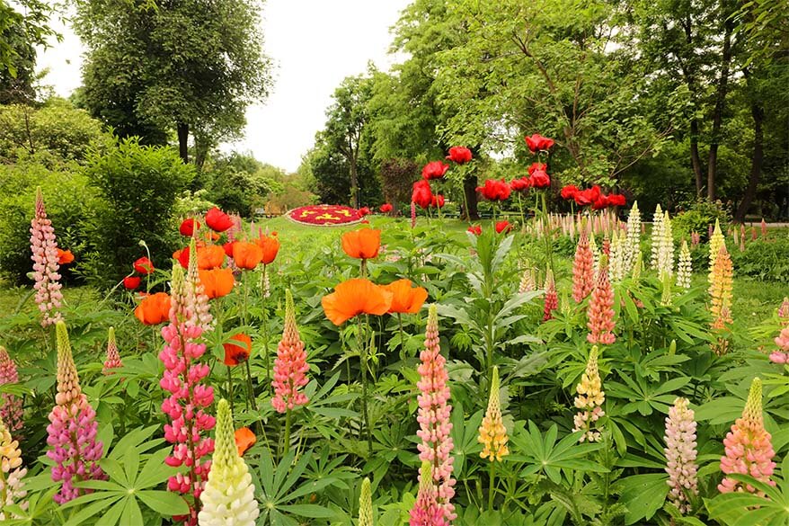 Spring flowers in Cismigiu park in Bucharest