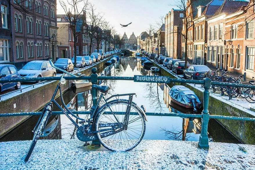 Best day trips from Amsterdam - Haarlem