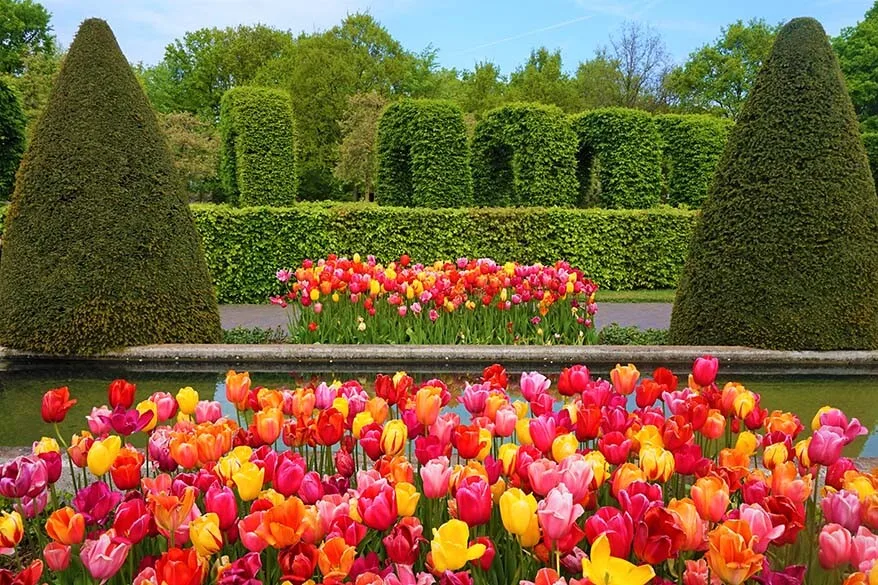 Keukenhof and the tulip fields is the most popular spring day trip from Amsterdam
