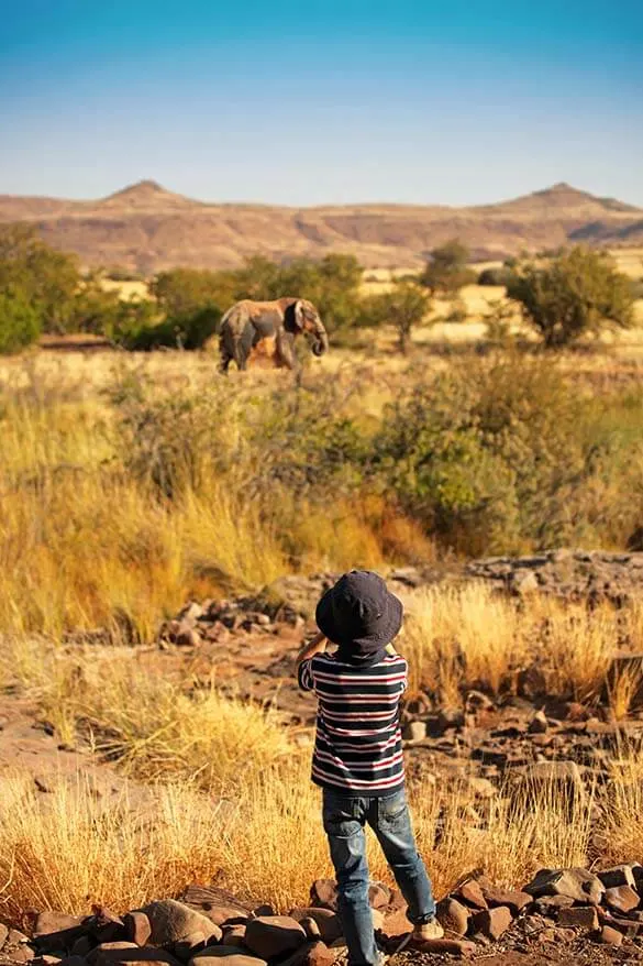 All you may want to know about taking young children on safari in Africa