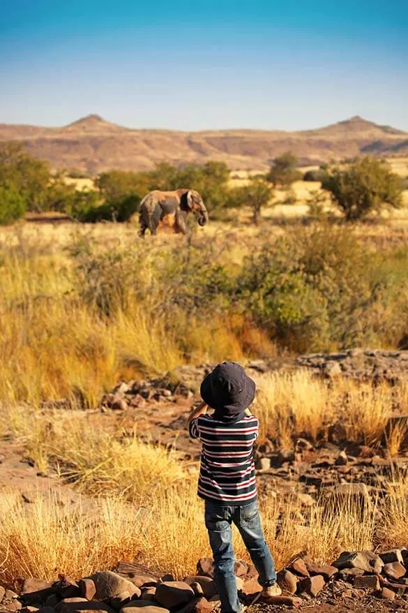 African Safari With Kids Firsttimer's Guide & Helpful Tips