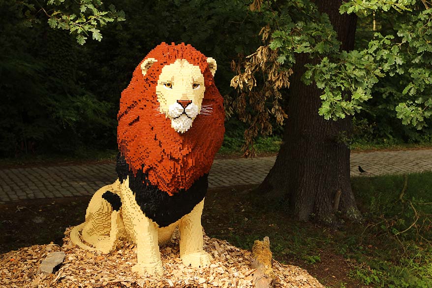 Art With Lego Bricks - Lion in Planckendeal animal park Belgium