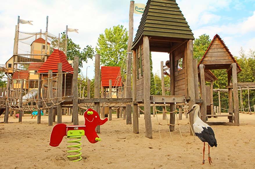 You might have to share the playground with storks at Planckendael