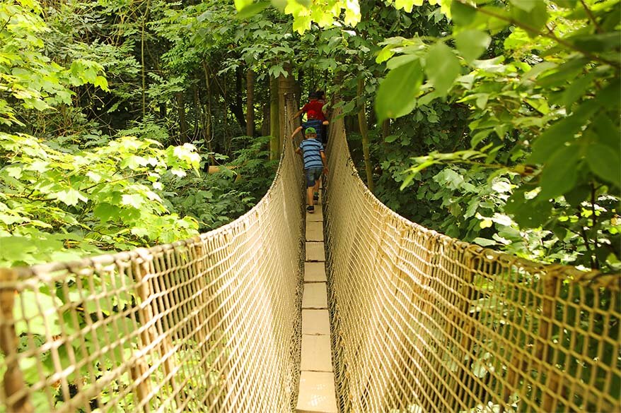 Planckendeal tree top walk is fun for all ages