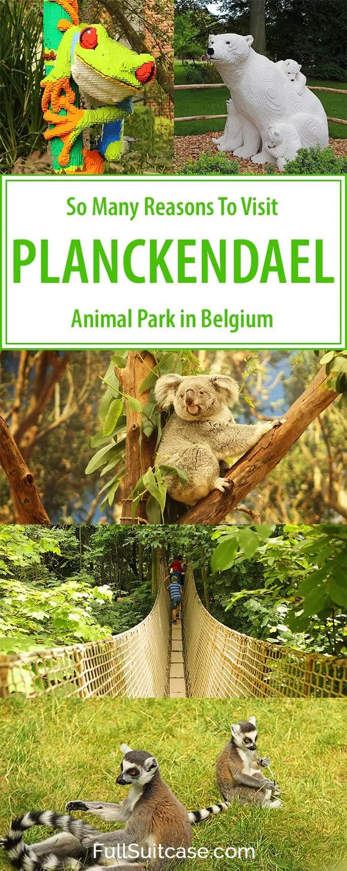 There are so many reasons to visit Planckendael animal park in Belgium. Find out!